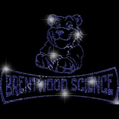 GLT94 BLUE GLITTER Thumbnail