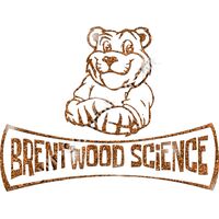 GLT94 ORANGE GLITTER Thumbnail