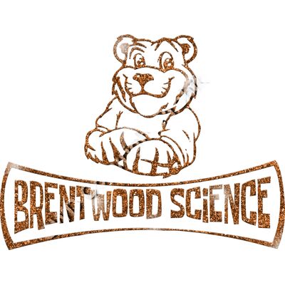 GLT94 ORANGE GLITTER Thumbnail