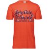 3065 Adult Extra Soft Tri-Blend T-Shirt Thumbnail